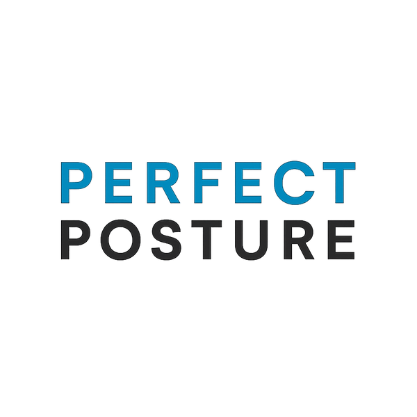 Perfect Posture Store